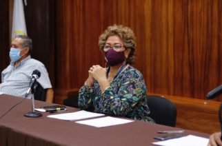 Absurdo que haya infringido la ley electoral: Adela Román