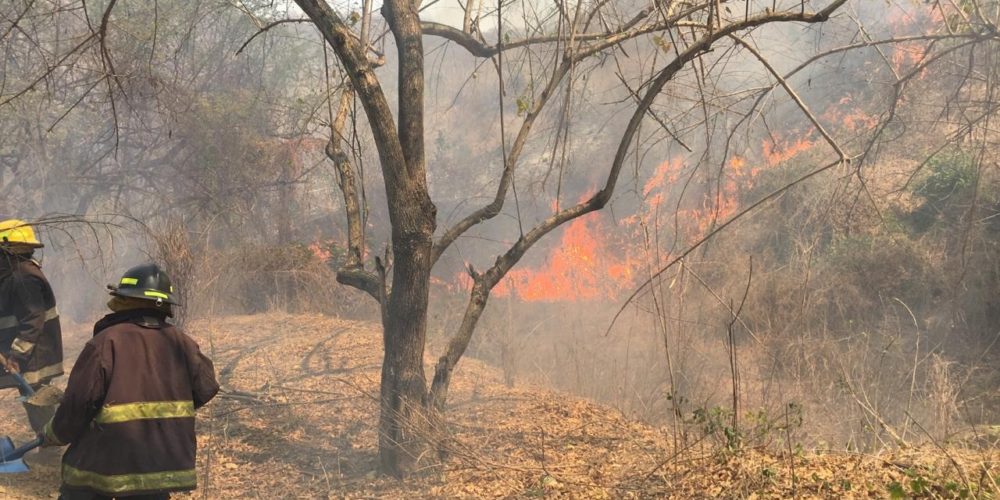 Siete incendios forestales siguen activos en Acapulco: PC