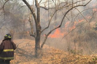 Siete incendios forestales siguen activos en Acapulco: PC