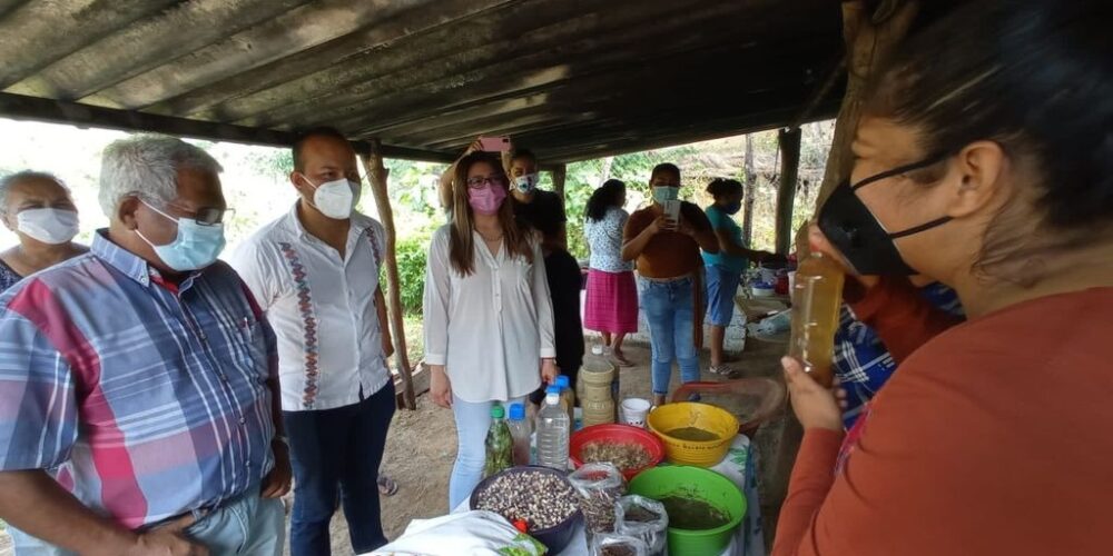 Promueve Sedesol Acapulco el emprendimiento de mujeres rurales