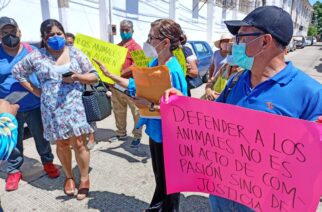 Atiende Ecología municipal denuncias de maltrato animal