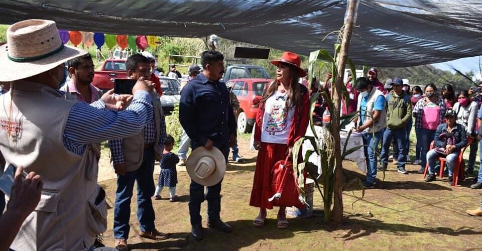 impartir el Taller de Capacitación en Elaboración de Abono Orgánico de Lombriz