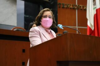 Analizan la Ley de Salud Estatal para garantizar la reconstrucción de mamas.