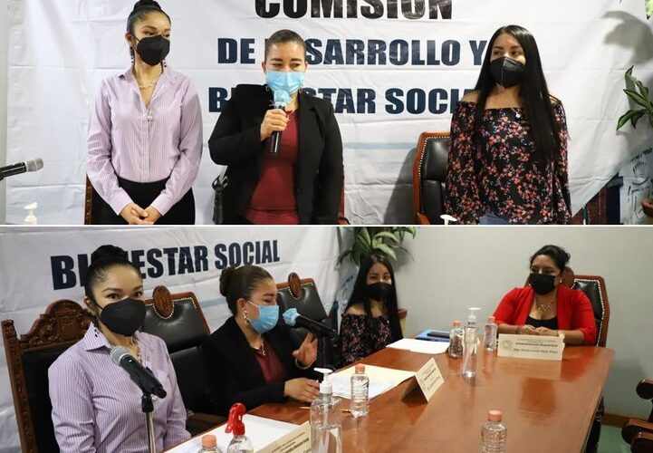 Plan de Trabajo de la Comision de Desarrollo y Bienestar Social