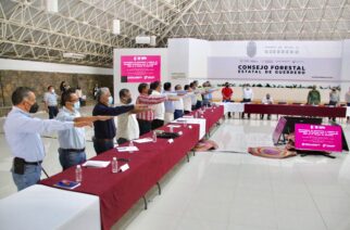 Toman protesta al Consejo Forestal del Estado de Guerrero