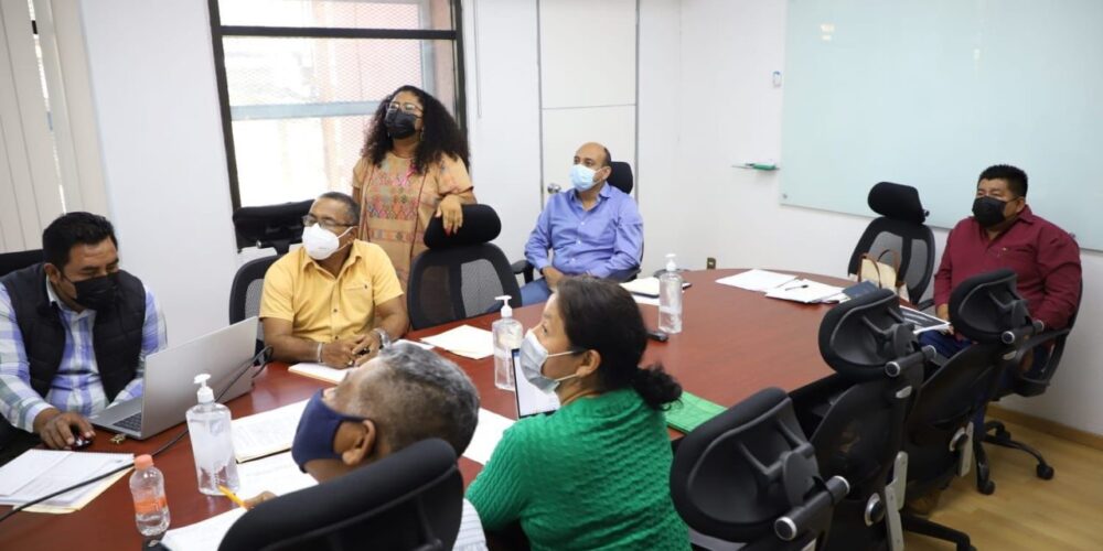 Presenta Comisión del Congreso Proyecto sobre Consulta de los Pueblos Indígenas y Afromexicanos