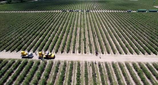 Visita Abelina López campos agrícolas en Plant City