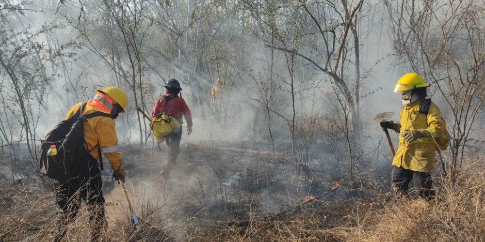 Continuan trabajos para sofocar incendio en iguala.