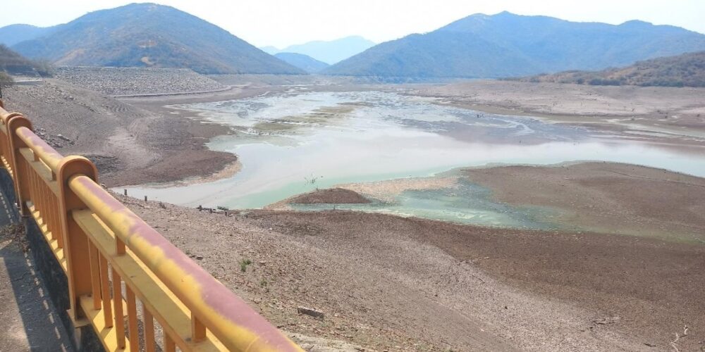 Atiende Salud Estatal reporte de mortandad de peces en presa de Ajuchitlán del Progreso