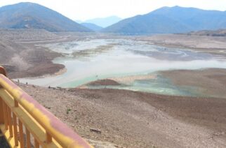 Atiende Salud Estatal reporte de mortandad de peces en presa de Ajuchitlán del Progreso