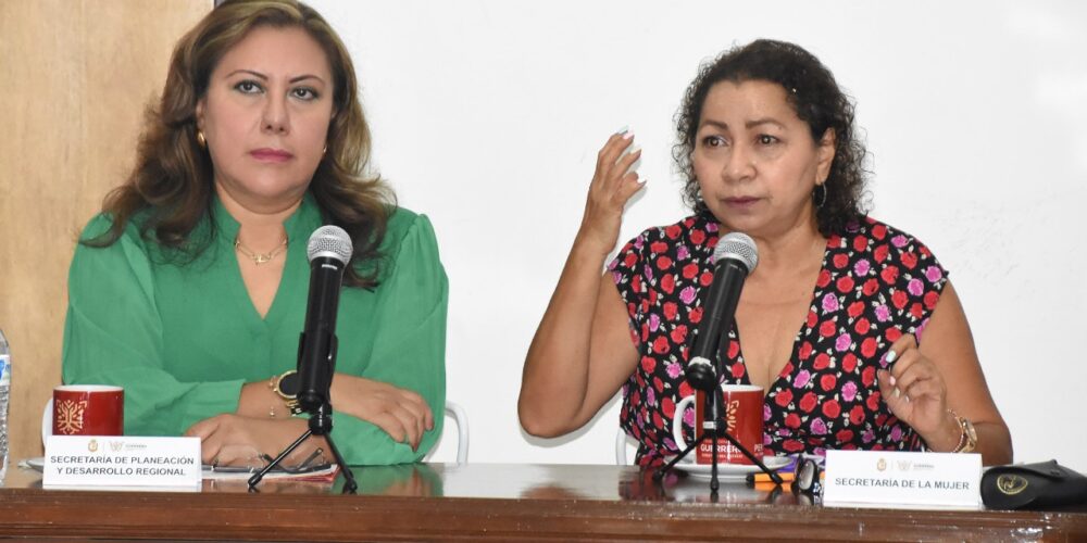 Encabeza la titular de Semujer, Violeta Pino Girón la instalación del Subcomité Especial de Igualdad de Género