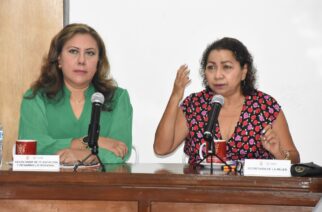 Encabeza la titular de Semujer, Violeta Pino Girón la instalación del Subcomité Especial de Igualdad de Género