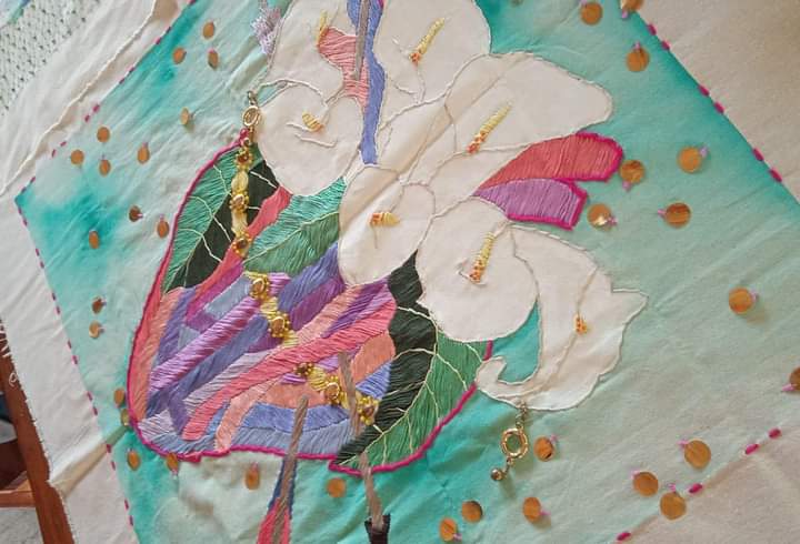 Este 9 de junio reabre sus puertas el Museo de las 7 Regiones con la exposición de Bordandy con 52 piezas