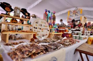 Guerrero avanza en el camino de generar bienestar, se garantiza el crecimiento y desarrollo: Evelyn Salgado