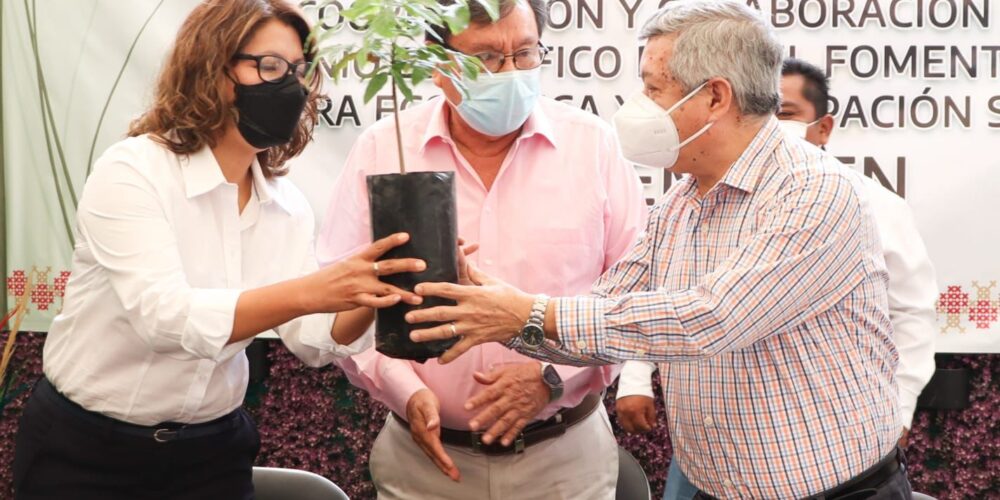 Firman convenio la SEG y SEMAREN para promover la cultura del cuidado del medio ambiente en todas las escuelas del Estado