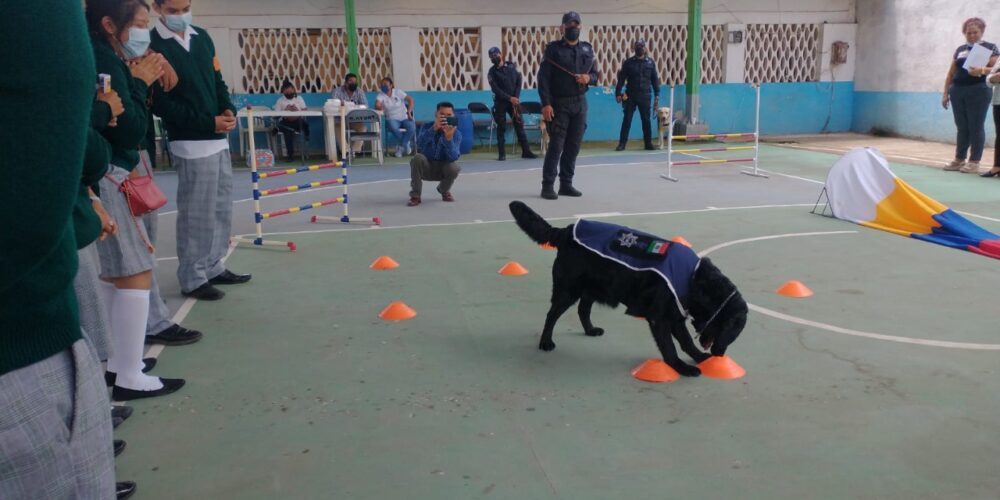 Participa la SSP Guerrero en la feria de la prevención en el municipio de Tixtla