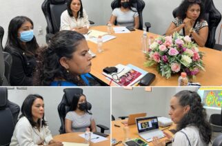 Se reúne comisión de los derechos de las niñas, niños y adolescentes del Congreso con dirigentes del pacto de la primera infancia