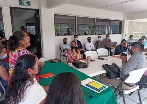 Encabezó la titular de la SAIA, la tercera reunión extraordinaria del Subcomité Especial de Pueblos Indígenas y Afromexicanos