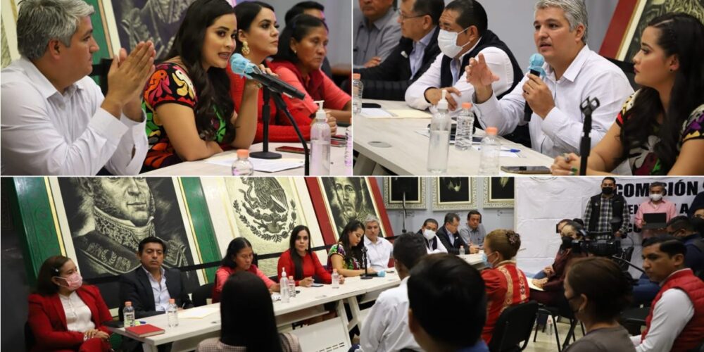 Presentan en el Congreso la metodología para la consulta a personas con discapacidad en materia de educación inclusiva