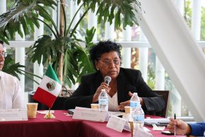 Participa ssg en la 3ª reunión ordinaria del Consejo Nacional de Salud Para el Bienestar (CONASABI) 2022