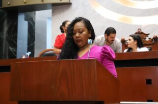 Plantean incluir en la constitución política del estado el derecho de las mujeres a la igualdad sustantiva y la paridad de género