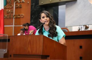 El proceso de consulta a personas con discapacidad está ya en la fase informativa, informó la diputada Citlali Calixto