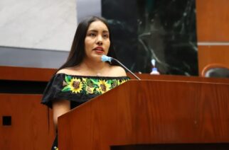 Proponen la realización en Guerrero de un parlamento incluyente de personas con discapacidad