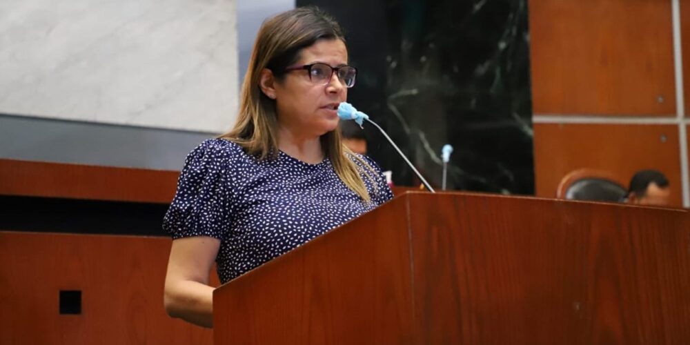 Proponen en el Congreso un exhorto al Ayuntamiento de Acapulco para regular el comercio ambulante