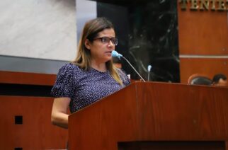 Proponen en el Congreso un exhorto al Ayuntamiento de Acapulco para regular el comercio ambulante