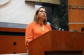 Aprueba Congreso del estado reforma a la constitución para garantizar atención médica a mujeres en embarazo y postparto