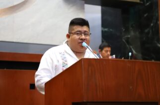 Proponen que notarios sean amovibles y las patentes no definitivas