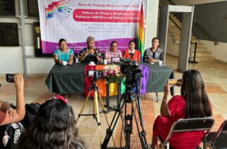 Anuncian en el Congreso la “Gira de trabajo mujeres trans 2022”