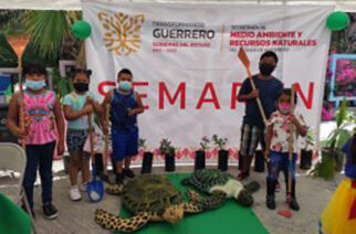 Realiza gobierno de Evelyn Salgado importantes acciones y programas en pro del medio ambiente