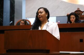 proponen incorporar la crianza positiva en la ley para la protección de niñas, niños y adolescentes