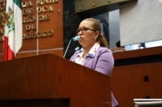 Proponen en el congreso regular la contratación de gruas particulares por parte de los municipios