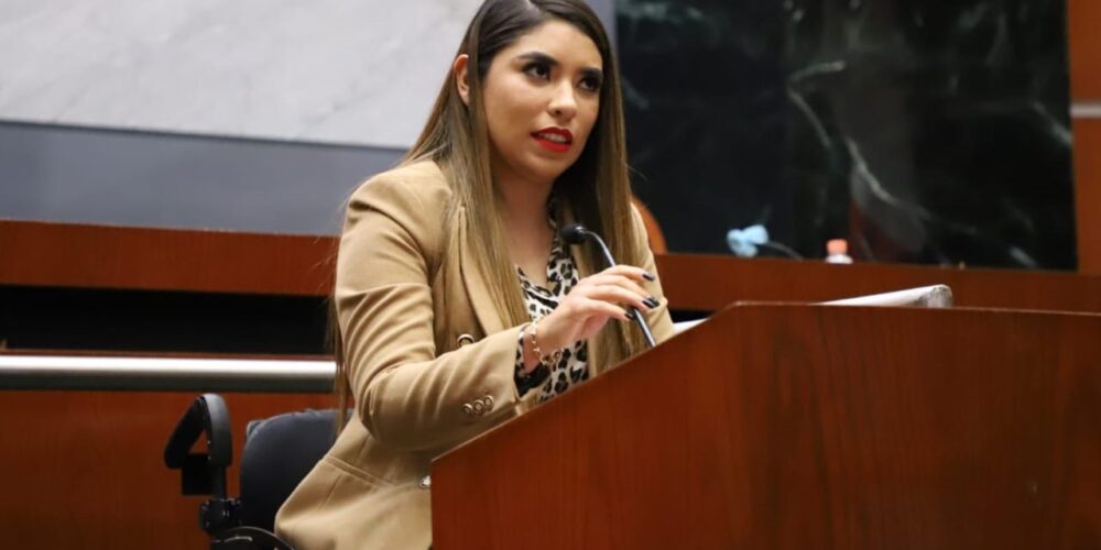 presentan reforma a la ley de salud para garantizar el derecho a la interrupción legal del embarazo