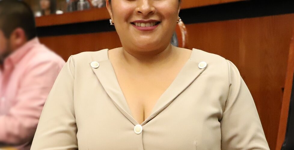 Analizan reforma para garantizar que toda instalación pública sea accesible a las personas con discapacidad