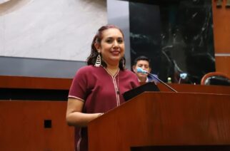 Proponen iniciativa de ley en materia de desaparición de personas del Estado de Guerrero