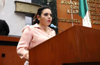 Proponen la creación obligatoria de las unidades de género y no discriminación en todos los ambitos de gobierno e instituciones públicas