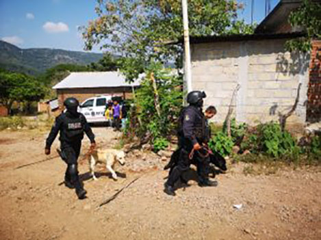 Se suma brigada de binomios caninos de la policía estatal a la búsqueda del menor de edad en Tlapehuala