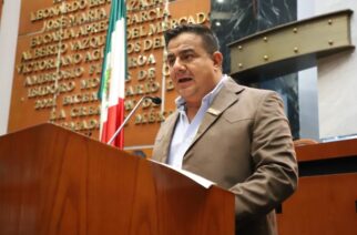 Plantean establecer el “derecho animal” en la constitución política local