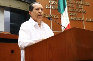 Proponen reforma para revocar la guarda y custodia de menores en casos de golpes visibles