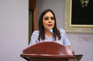 El compromiso de la LXIII Legislatura es garantizar que las mujeres ejerzan plenamente sus derechos: Bernal Reséndiz