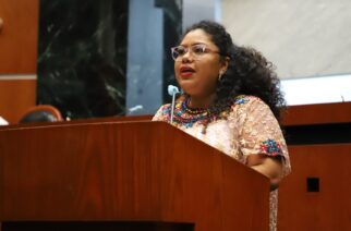 Grandes avances registra el 2022 en pro de los derechos y reconocimiento de los pueblos indígenas y afromexicano: Marben de la Cruz