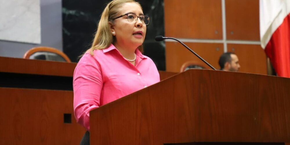 Plantean en el Congreso la creación de la Subsecretaría de Educación Indígena