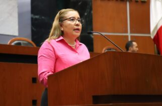 Plantean en el Congreso la creación de la Subsecretaría de Educación Indígena