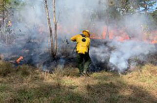 Gobierno del Estado recomienda a municipios intensificar acciones para prevenir y atender incendios forestales