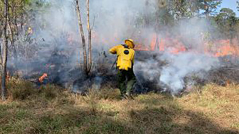 Gobierno del Estado recomienda a municipios intensificar acciones para prevenir y atender incendios forestales