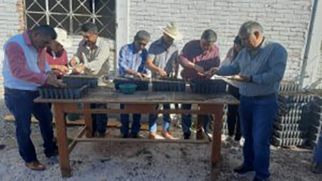 Inaugura la SEMAREN Guerrero vivero comunitario en el ejido de Amojileca, en Chilpancingo