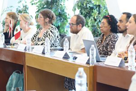 Se reúnen la SSG, el gobierno federal y representantes de Dinamarca para fortalecer la atención en salud